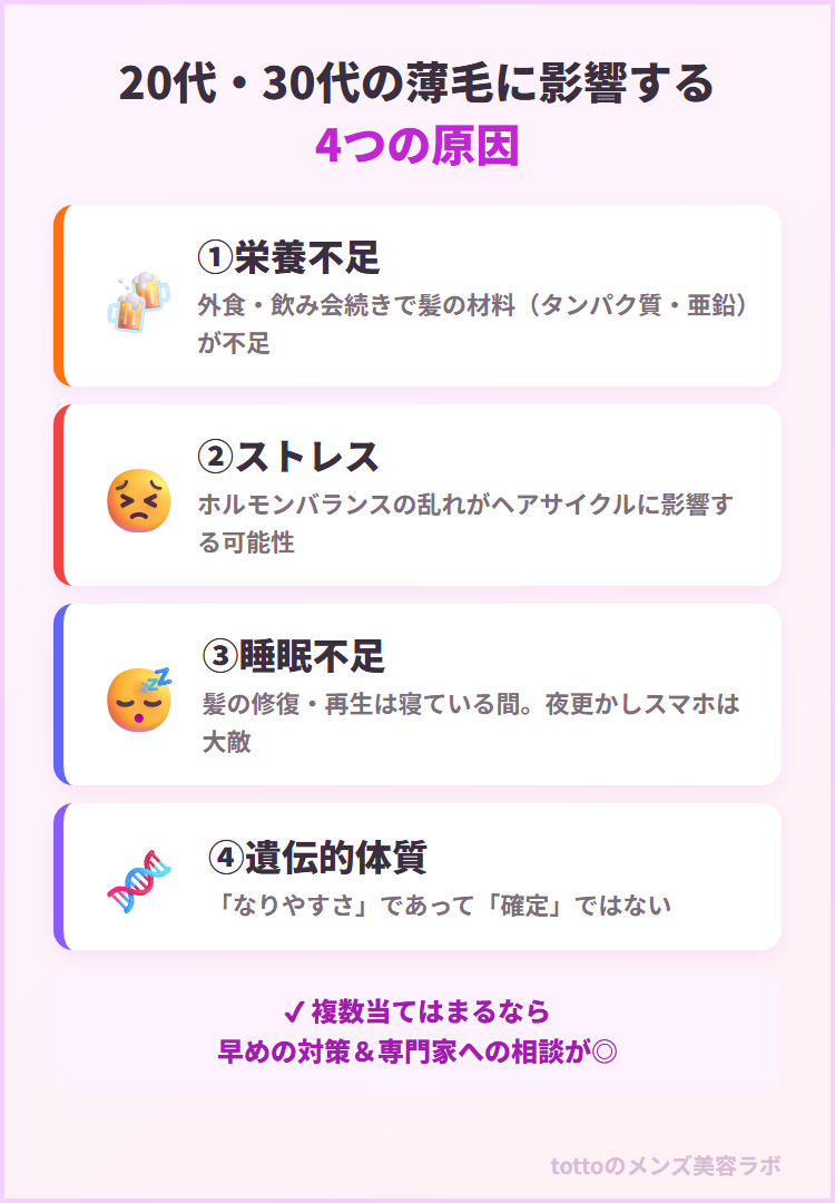 20代30代の薄毛に影響する4つの原因の図解